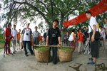 多年老友_1006