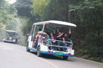 A (317)