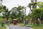 IMG_8711a