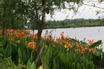 IMG_8726a
