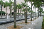 IMG_0730