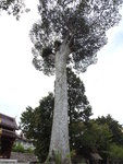 DSCN8938