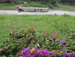 DSCN9092