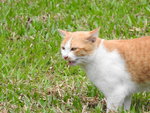 DSCN9160