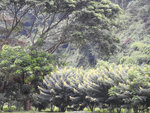 DSCN9171
