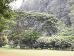 DSCN9172