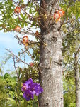 DSCN9229