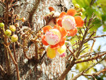 DSCN9231