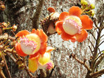 DSCN9232
