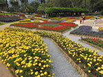 DSCN9495