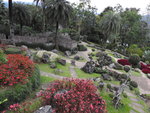 DSCN9519