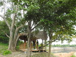 DSCN9567