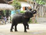 DSCN9786