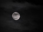 DSCN0580