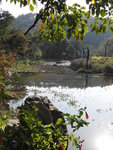 DSCN0866