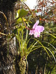 DSCN0874