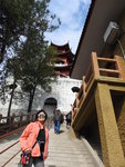 DSCN0981