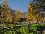 DSCN1067