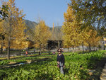 DSCN1069