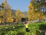 DSCN1070