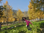 DSCN1071