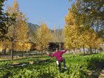 DSCN1072