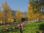 DSCN1073