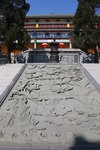 IMG_4863