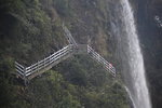 IMG_5489