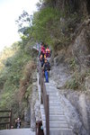 IMG_5495