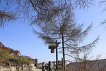 IMG_5535