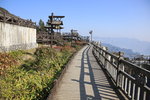 IMG_5537