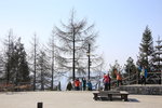 IMG_5545