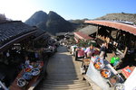 IMG_5681