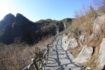 IMG_5682