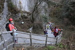 IMG_5741