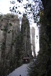 IMG_5743
