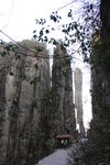 IMG_5745