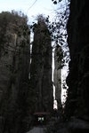 IMG_5746