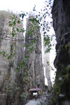 IMG_5748