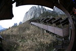 IMG_5874