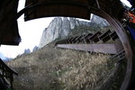 IMG_5875