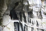 IMG_5902