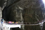 IMG_5907