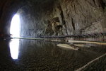 IMG_5978