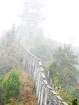 DSCN9071