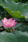 IMG_2134_resize