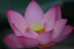 IMG_2143_resize