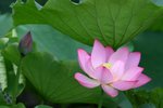 IMG_2150_resize