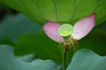 IMG_2158_resize